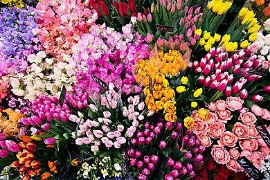 《Toytopia》1月29日登陆Steam 废墟生存恐怖探索