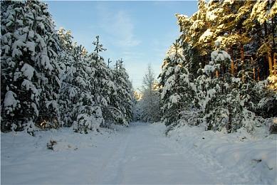 《守望先锋》x《变形金刚》联动将于2月19日开启